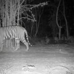 Udanti-Sitanadi Tiger Reserveउदंती-सीतानदी टाइगर रिजर्व