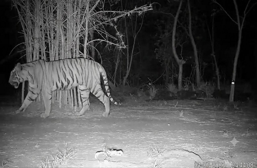 Udanti-Sitanadi Tiger Reserveउदंती-सीतानदी टाइगर रिजर्व