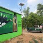 Hornbill Safari