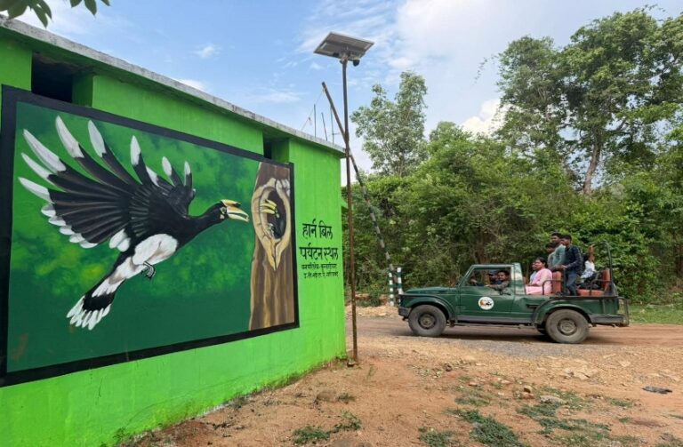 Hornbill Safari