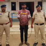 cattle smuggling