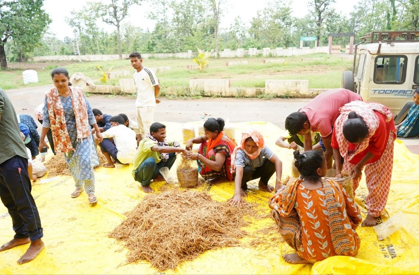 ऑयस्टर मशरूम
